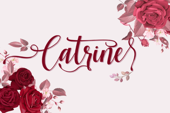 The Quiet Power of Script Fonts in Modern Branding: What Makes Catrine Worth Watching